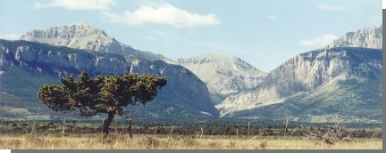 Blackleaf Canyon